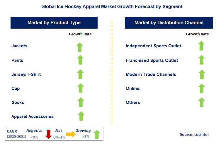Ice Hockey Apparel Market by Segment